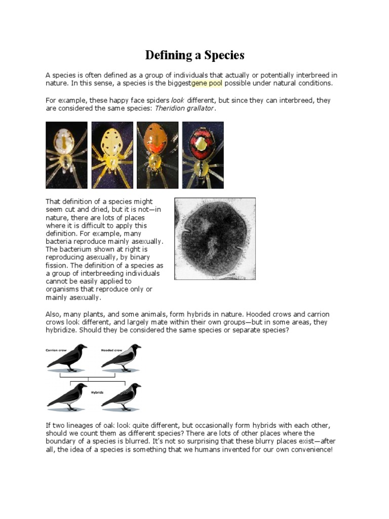 DESCRIPTION SPECIES TERMINOLOGY BREEDS FACTS intelligence overview