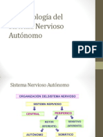 Sistema Autonomo