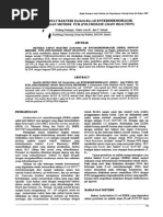 Download Deteksi Cepat Bakteri e Coli Dengan Pcr by Hertini Marati Istiqomah SN172630216 doc pdf