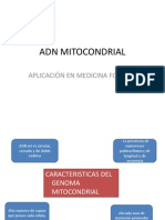 Adn Mitocondrial1.0