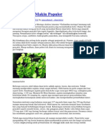 Download Daun Kelor Makin Populer by Mohammad Zainuri SN172634740 doc pdf