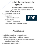 Development of The Cardiovascular System: - Begins To Function by End of The 3 Week