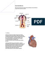 Struktur Alat Peredaran Darah Pada Manusia