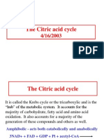 The Citric Acid Cycle