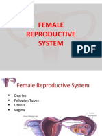 Female Reproductive System