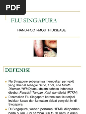 Flu Singapore Flu Babi Pdf