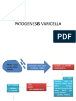 Patogenesis Varicella