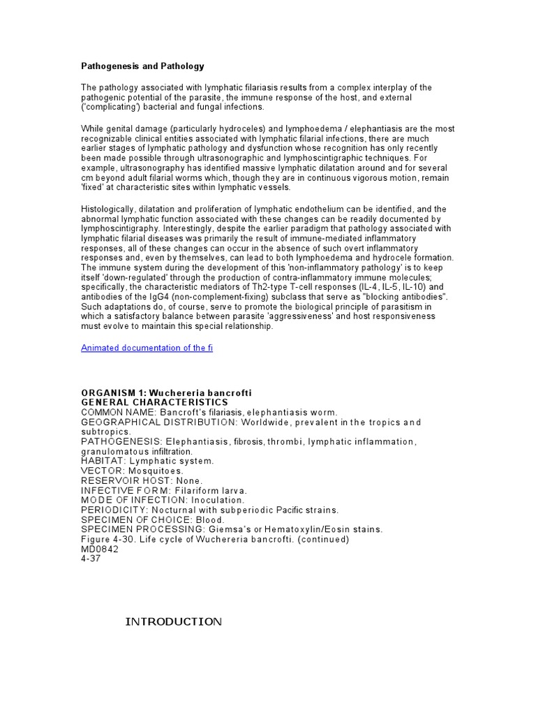 Pathogenesis and Pathology | PDF | Immunology | Diseases And Disorders