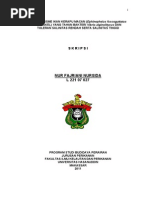 Download KERAPU MACAN by Lionel Edy SN172737528 doc pdf