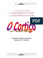 046_cortico