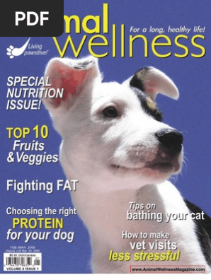 Animal Wellness Magazine February March 06 Pdf Obesity Diabetes Mellitus