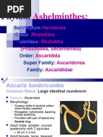 Download Ascaris lumbricoides by chocoholic potchi SN17276263 doc pdf