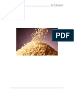 DPR For Par Boiled Rice Industry