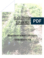 El Cultivo de Zanahoria - Parte1