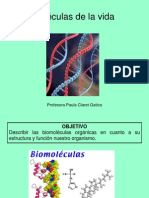 Biologia Comun - Biomoleculas Organicas e Inorganicas