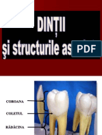 Digestiv II-dinţi ( EMO 2013)