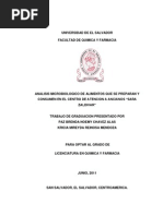 Analisis Microbiologico de Alimentos (Tesis)