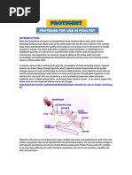 Download protease for use in poultry by Somya Mehndiratta SN172807079 doc pdf