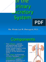 Urinary Excretory System: Ma. Minda Luz M. Manuguid, M.D