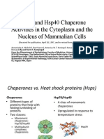 Hsp70 and Hsp40 Chaperone Activities in The Cytoplasm and The Nucleus of Mammalian Cells