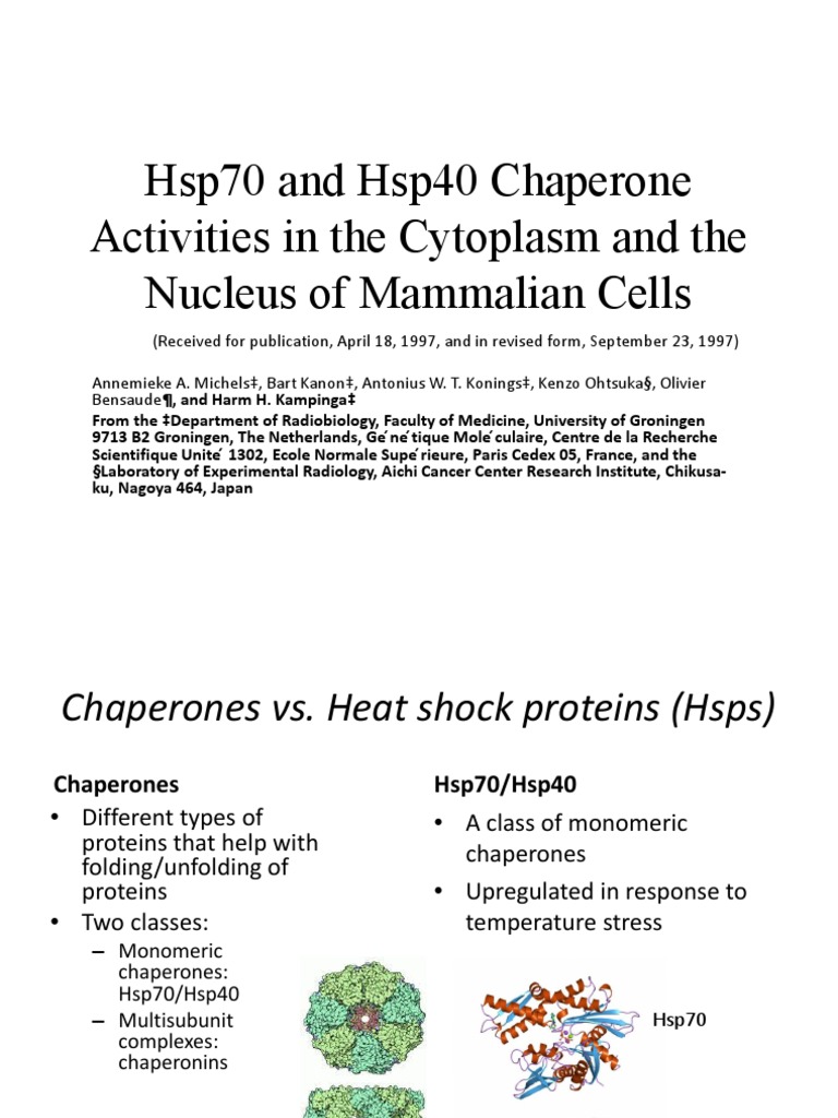 Hsp70 and Hsp40 Chaperone Activities in The Cytoplasm and The Nucleus ...