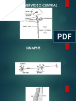 Sistema Nervioso Central