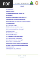 Download Omega 3 y 6 Monografia by abelz4 SN172841478 doc pdf