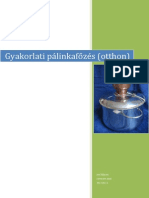 Gyakorlati Palinkafozes