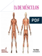 musculos do pé