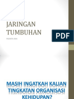 Jaringan Tumbuhan