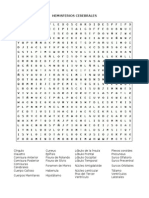 Sopa de Letras Hemisferios Cerebrales