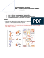 PRÁCTICO 4 - Cardiaco I +respuestas