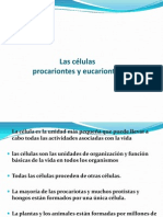 Células Procariontes y Eucariontes 3