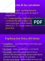 Exploración Física Del Tórax.y Columna Vertebral