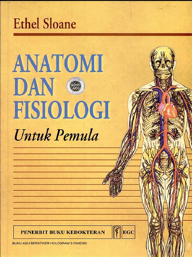 Anatomi Dan Fisiologi Untuk Pemula Anatomi Dan Fisiologi Untuk Pemula