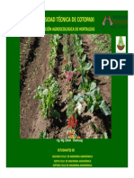 produccion-agroecologica-hortalizas