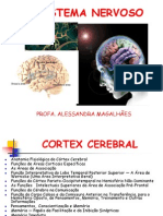Funções do Sistema Nervoso e do Córtex Cerebral