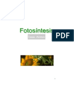 Fotosintesis