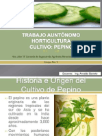 Horticultura-Cultivo El Pepino