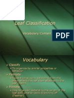 Leaf Classification Vocab