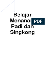 Belajar Menanam Padi Dan Singkong