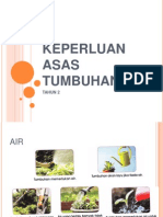 Keperluan Asas Tumbuhan