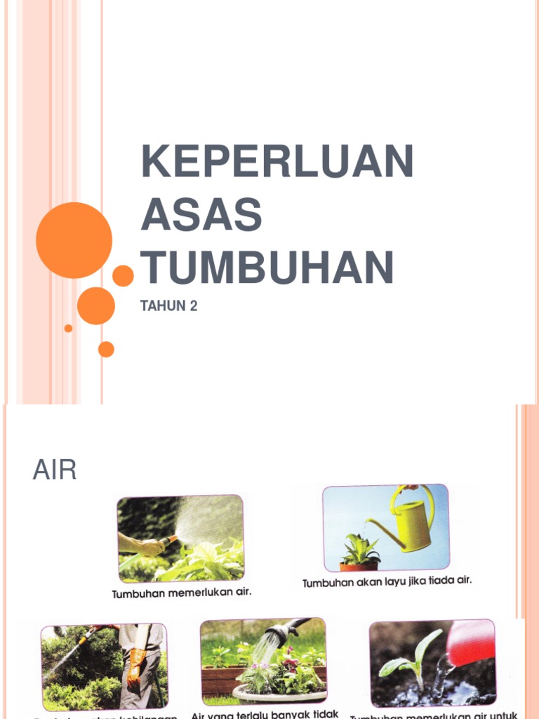 Keperluan Asas Tumbuhan Pdf
