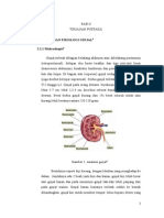 Download gambaran radiologis trauma ginjal by Chaerena Amri SN173018591 doc pdf