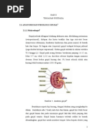 Download gambaran radiologis trauma ginjal by Chaerena Amri SN173018591 doc pdf