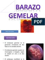 Embarazo Gemelar