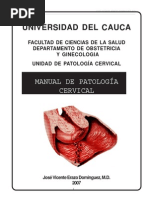Download PatologiaCervicalManual by Vasti Hernandez Bustamante SN173057377 doc pdf