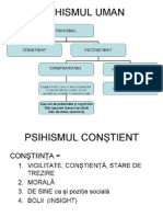 1 Somnul Tulburari de Constien