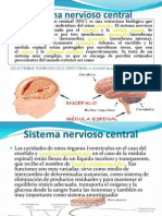 Sistema Nervioso Central