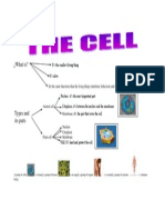 Cell